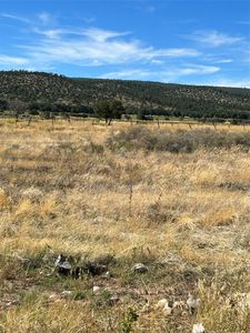 TRACT Two 2a Hwy #110, El Rito, NM, 87530