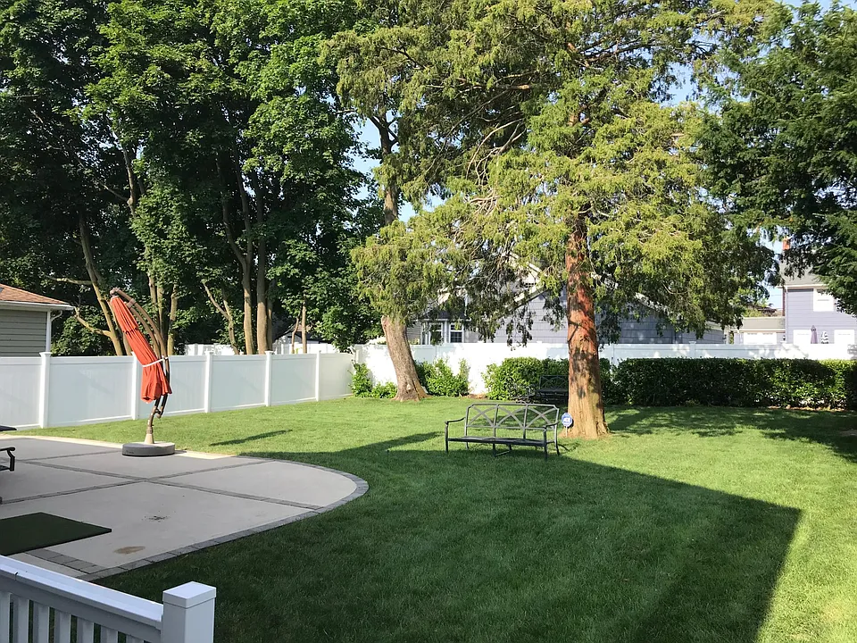 Backyard 2