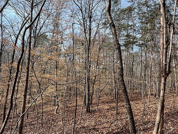 5th image of TRACT Cann Rd #A