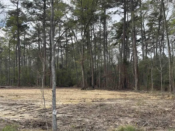 LOT B3 Reinninger Rd Lot B3, Denham Springs, LA 70706