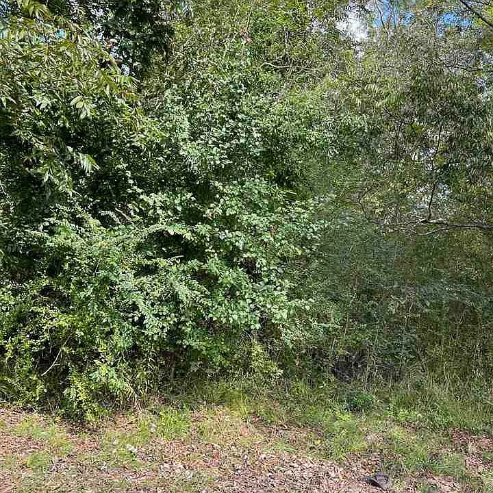 1st image of 2990 Watkins Dr SE