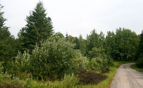 2nd image of Tbd Hwy. 115