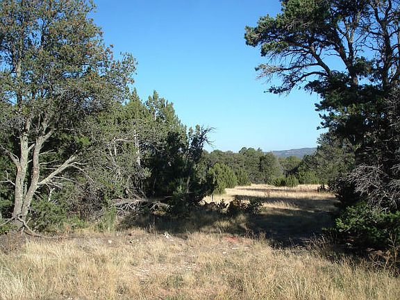 4th image of Lot 4 Diamond View Rd