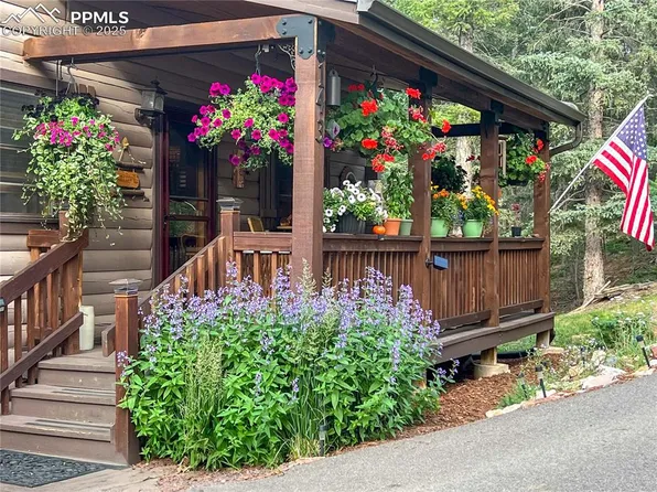 143 Wahsatch Rd, Florissant, CO 80816