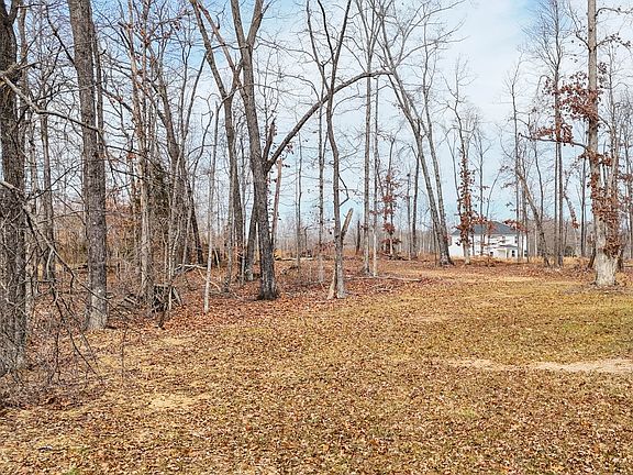 3rd image of 0 Cherry Blossom Way Lot 19