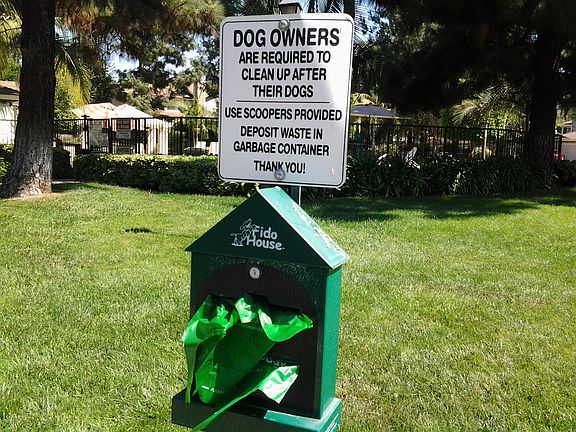 Neighborhood pet friendly