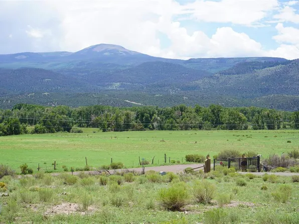 130 E Pfieffer Loop, South Fork, CO 81154