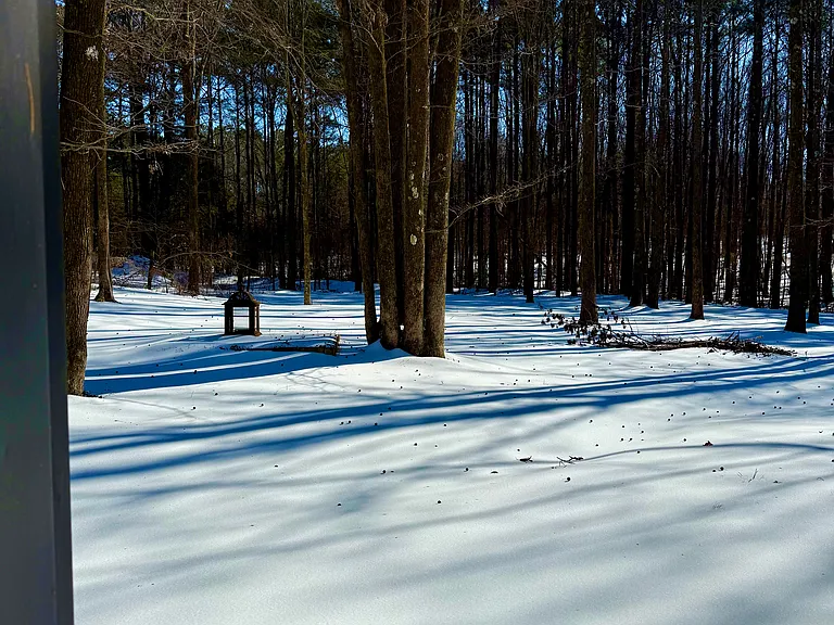 664 Confederate Ridge Rd — Photo 21