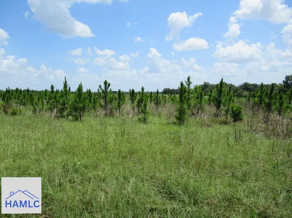 0 W Pecan Rd, Glennville, GA 30427