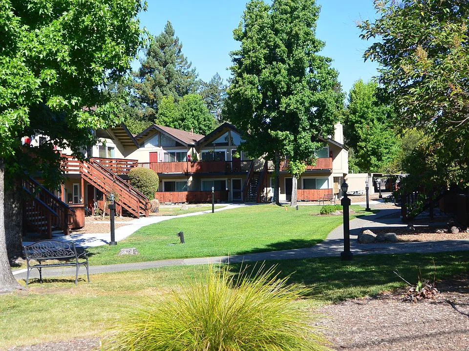 Pine Wild Apartments