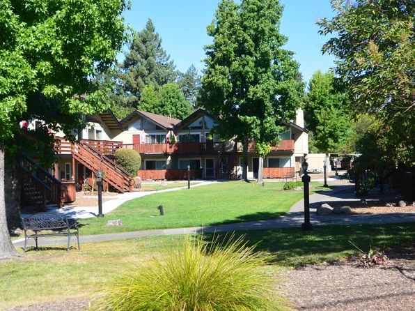 Pine Wild Apartments