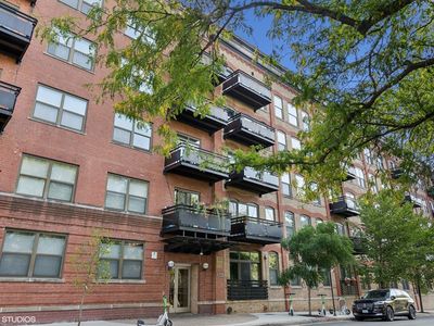 1735 W Diversey Pkwy APT 317, Chicago, IL, 60614