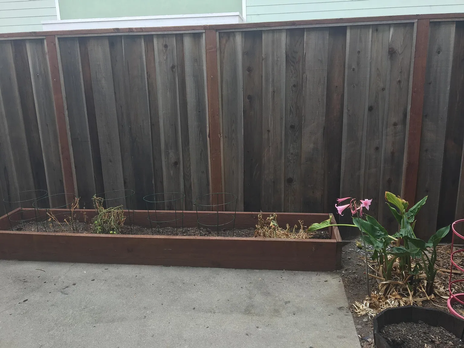 2 bed, 850 sqft, $3,000 — Photo 3