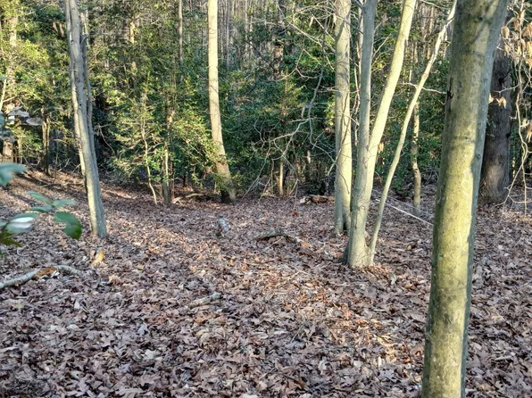 0 Bull Neck Rd, Caret, VA 22436