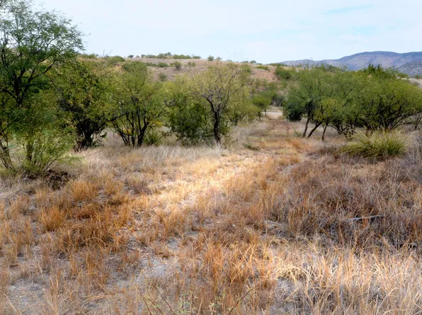 Tanglehead Ln Lot 19, Patagonia, AZ 85624