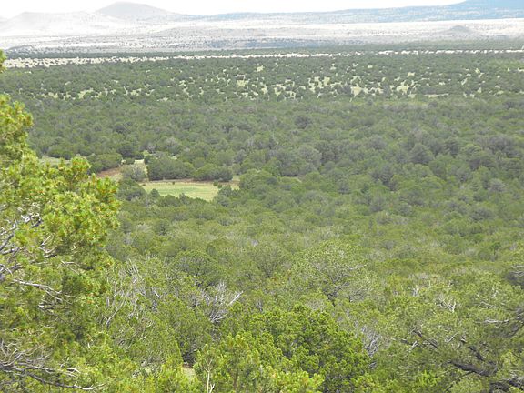 3rd image of 35901 State Highway 60
