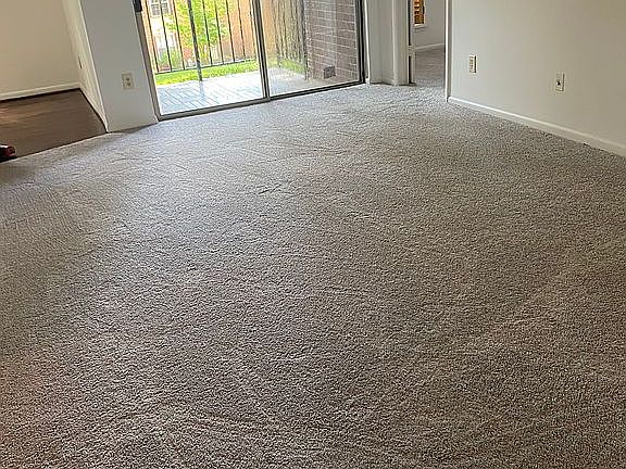 LR w/ New Carpet