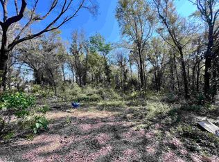 19338 Three Rivers Rd, Seminole, AL 36574