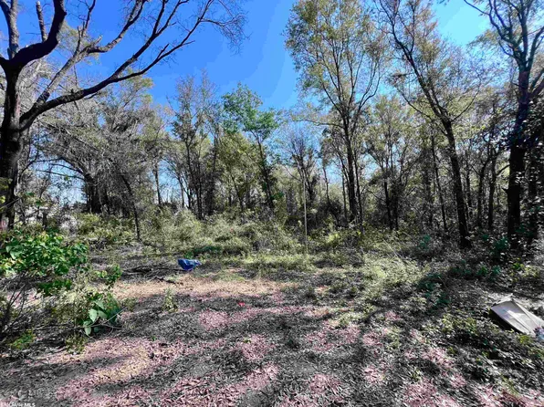19338 Three Rivers Rd, Seminole, AL 36574