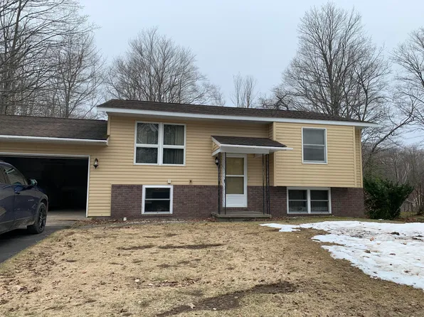 14245 S Cooper St, Newberry, MI 49868