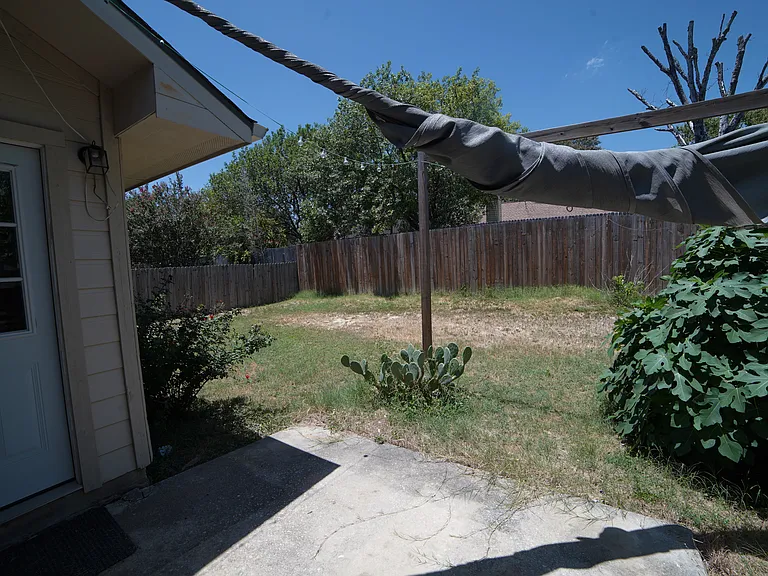 backyard