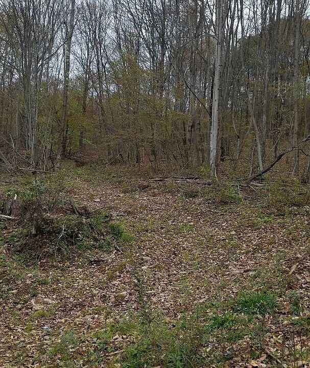 2nd image of 576 County Highway 26