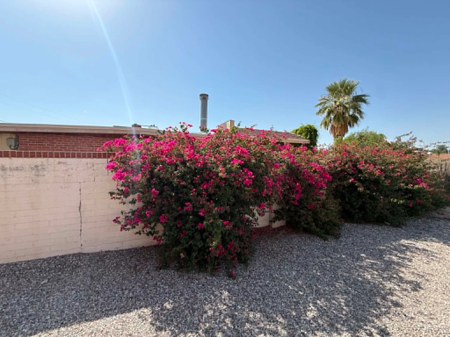 3 bed, 1000 sqft, $1,270 — Photo 4