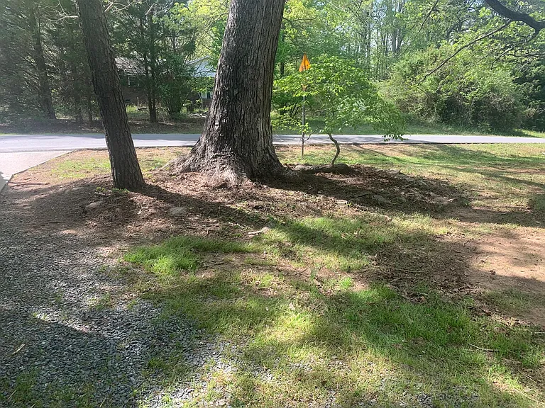 Looking out from front of house/driveway.