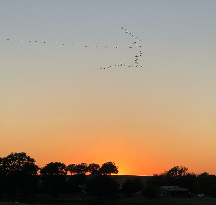 1st image of 3 Shady Grove Rd