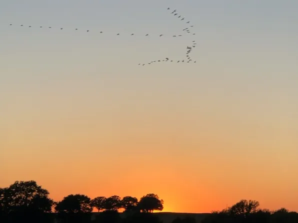 3 Shady Grove Rd, Bennington, OK 74723