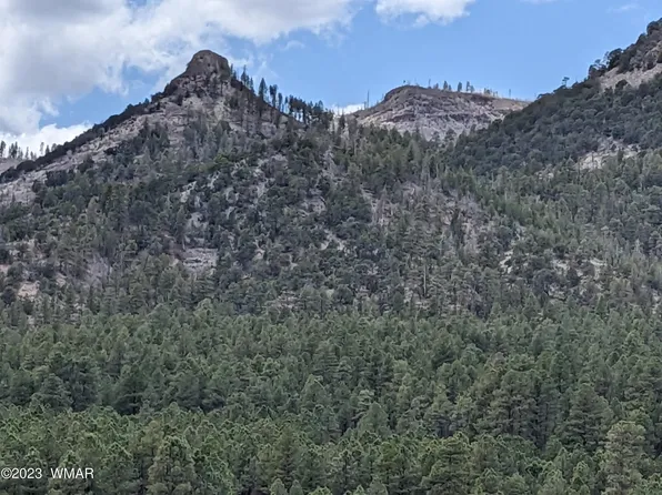 101-48 Nineteen Acr #2281, Nutrioso, AZ 85932