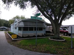 401 Silver Streak Ln, Valrico, FL 33594