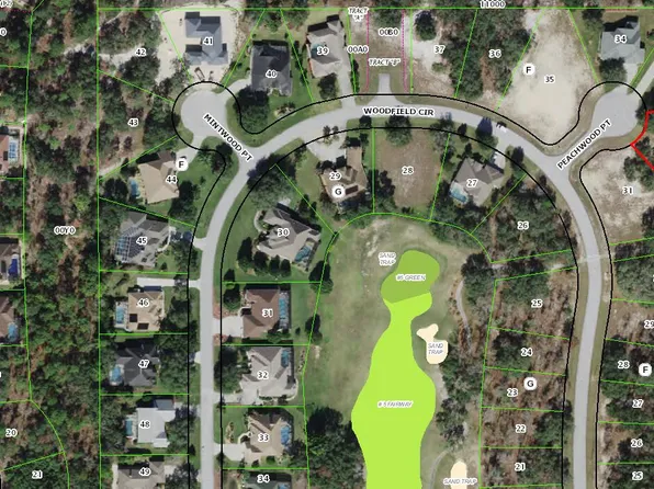 3 Peachwood Pt, Homosassa, FL 34446