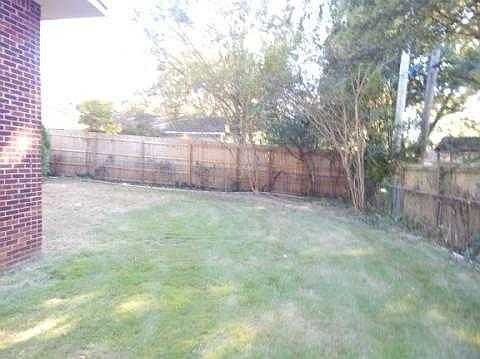 back yard