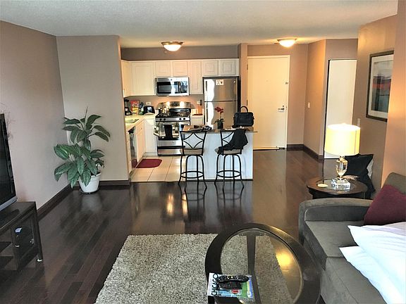4th image of 545 N Dearborn St #W1703