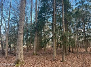 0 Bridgersville Road, Macclesfield, NC 27852