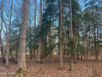 0 Bridgersville Road, Macclesfield, NC, 27852