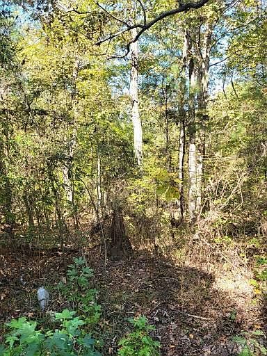 1st image of 496R Woodland Trail LOT 496R