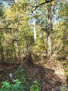 496R Woodland Trail LOT 496R, Hertford, NC, 27944