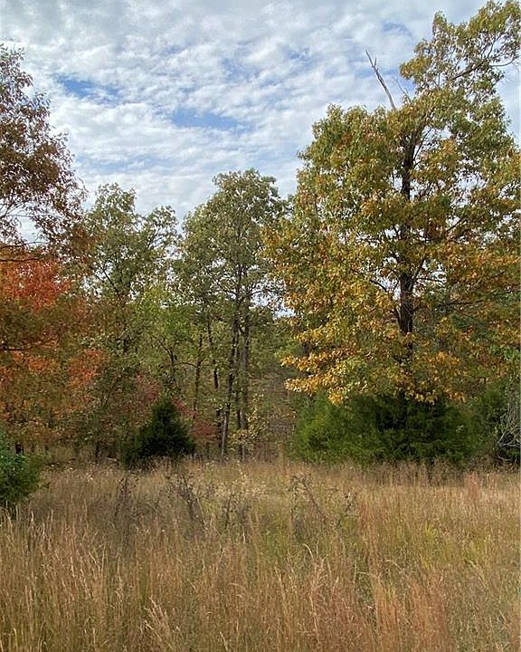 2nd image of Ozark Ridge Dr