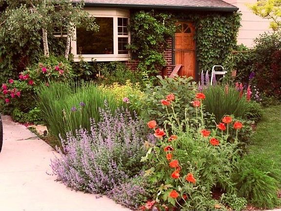 Lots of flowers to bring inside