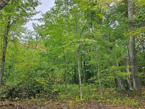 Lot 2 Maria's Way, Webster, WI 54893