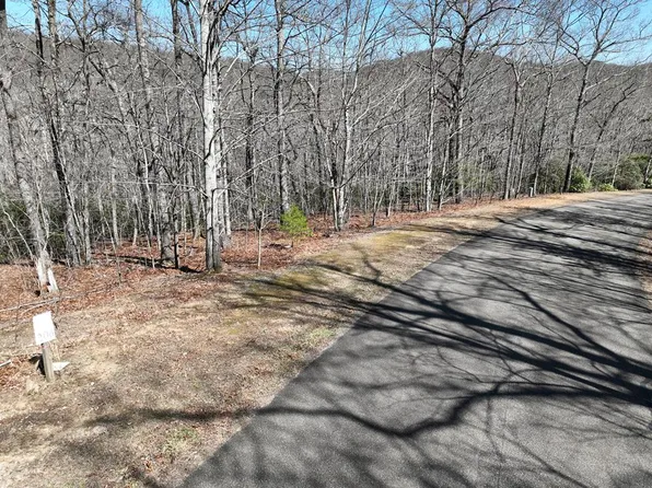 206 Northview Pkwy, Ellijay, GA 30536