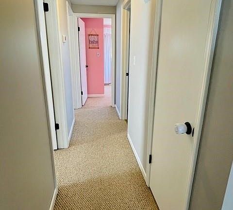 3rd image of 1416 Dangelo Dr