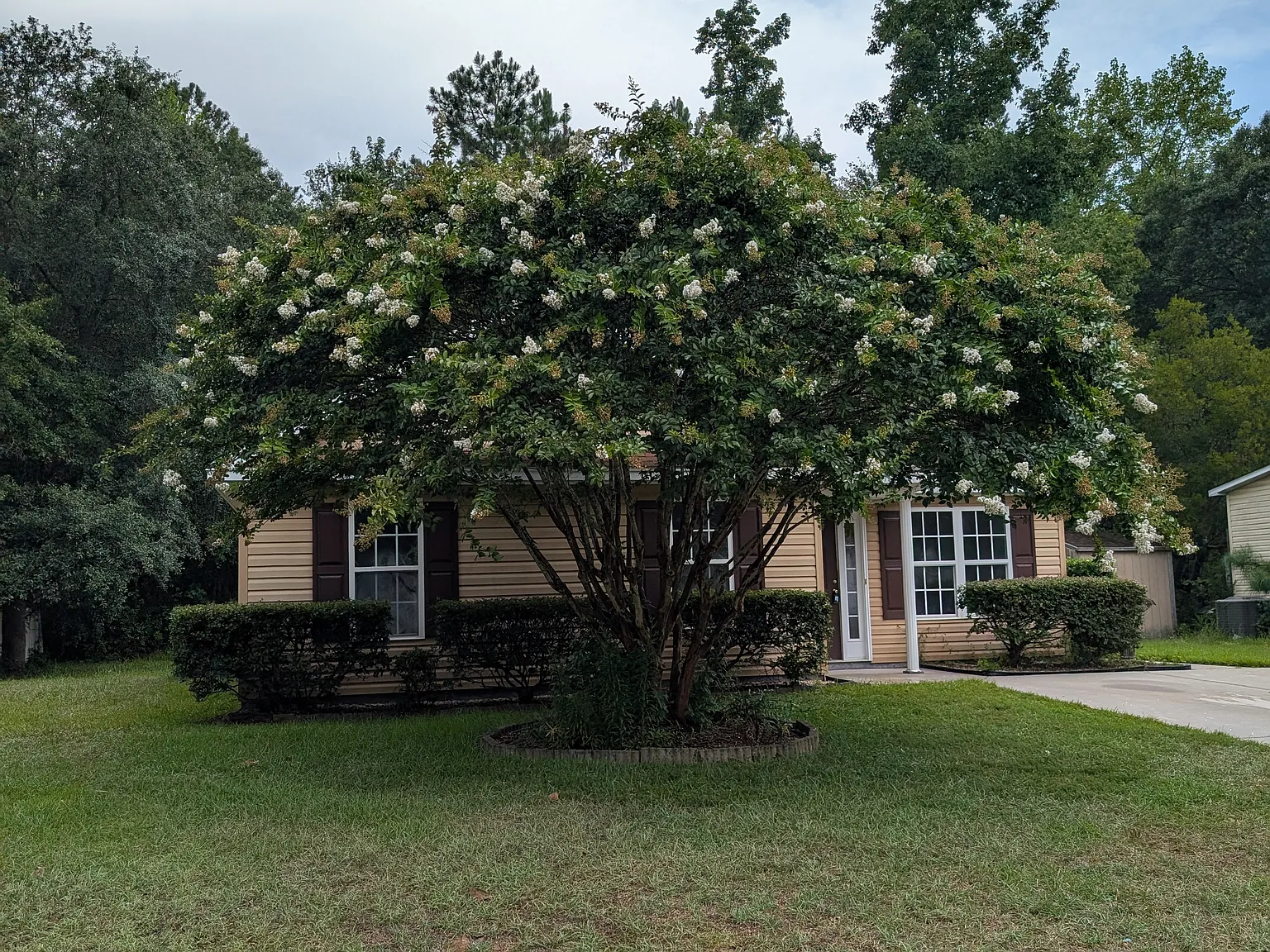 1849 Athens Dr — Photo 3