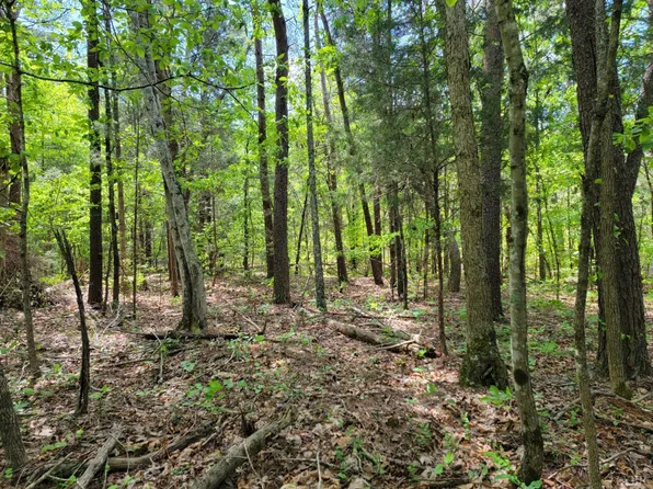 8091 Howard P Anderson Rd, Nathalie, VA 24577