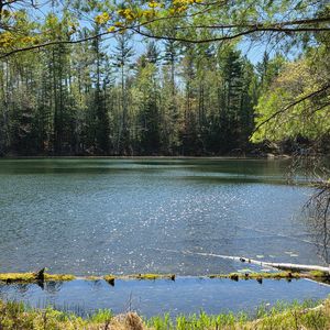 8659 N Blue Gill Lake Rd, Winter, WI, 54896