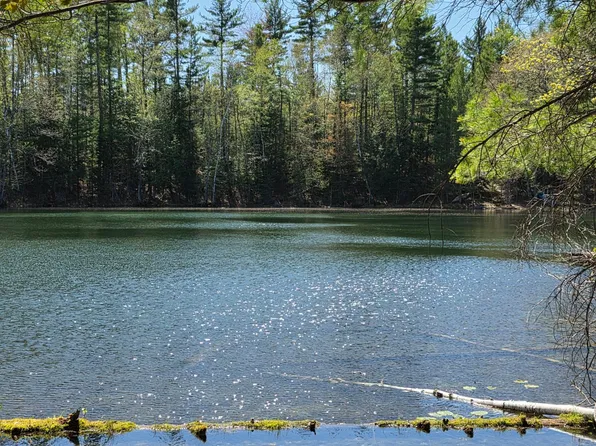 8659 N Blue Gill Lake Rd, Winter, WI 54896