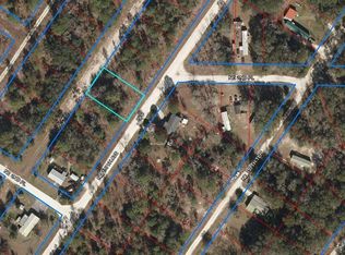 250 NE 157th Ave, Williston, FL 32696