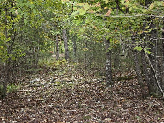 3rd image of LOT 42 Webbs Landing Ln